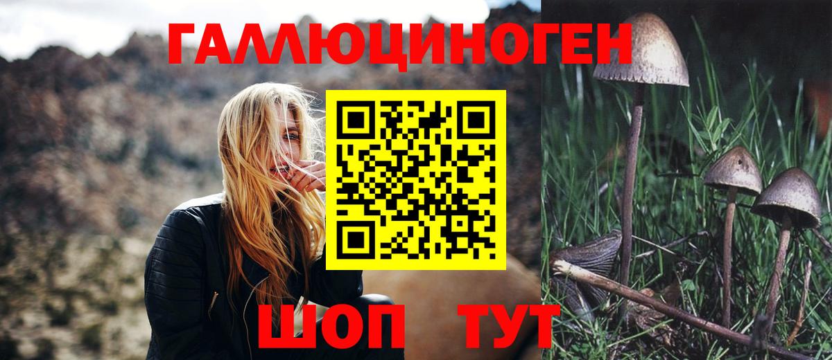 Галлюциногенные грибы ЛСД Гатчина